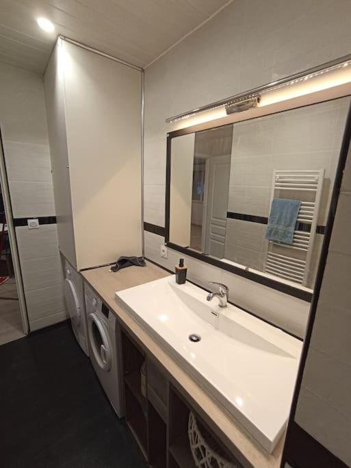 Superbe Appartement Renove A Neuf Centre Bourg ブレム・シュル・メール エクステリア 写真